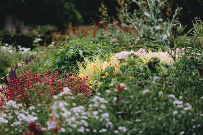 Annie Spratt Wjtw2vle9lw Unsplash