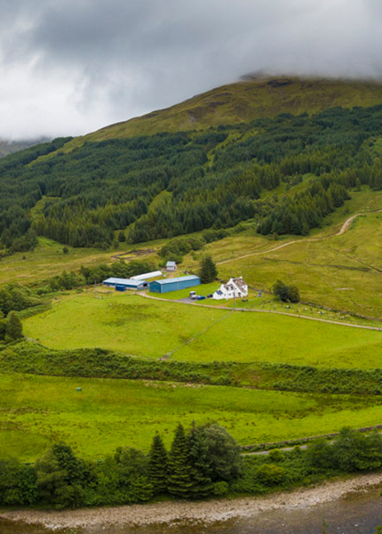 Glenorchy Farm from the air