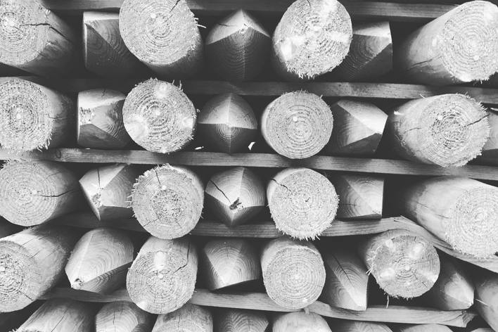 Fence posts at Glenorchy Farm