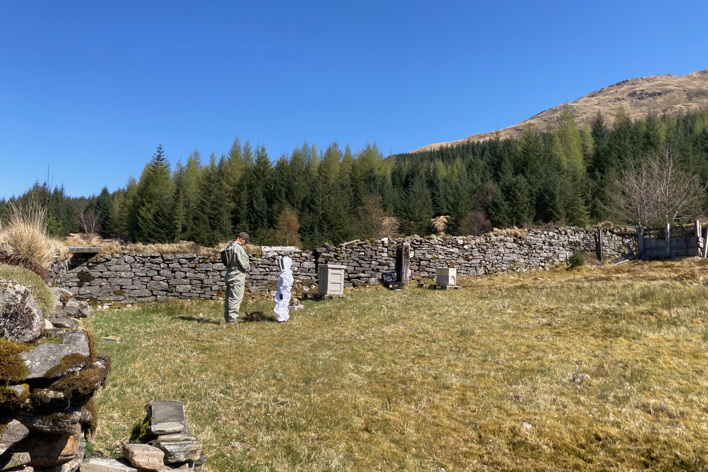 Bee keeping at Glenorchy Farm (1)