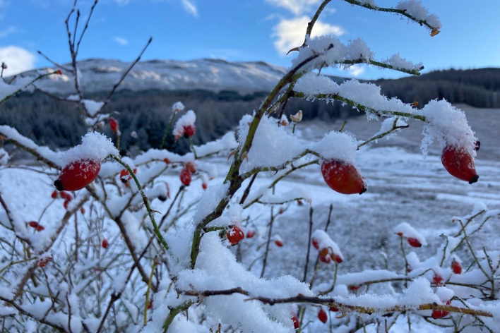 Winter view from Glenorchy Farm