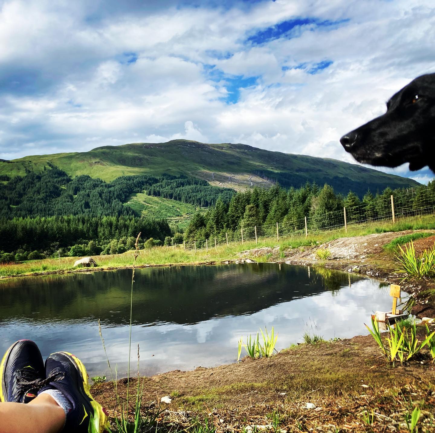 Wildlife Pond at Glenorchy Cabins