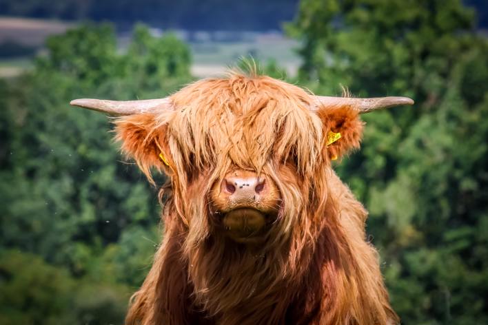 Quaritsch Photography C2mhteg5ge Unsplash